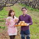 그린영농조합법인 이미지