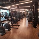 렉스휘트니스 이미지