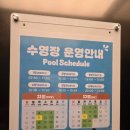 나인트리 바이 파르나스 서울 판교 수영장 | 판교 호캉스 추천 <나인트리 바이 파르나스 서울 판교> 부대시설 수영장 근처 맛집