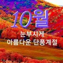 한려해상 국립공원 ㅡ 통영시 ㅡ 통영항 에서 ㅡ 장사도 여행ㅡ 이미지