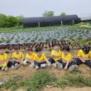 윤가농장 이미지