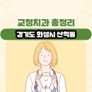 경기도 화성시 산척동 교정치과 총정리