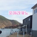 포메리카노 이미지