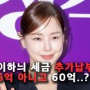 이하늬 세금 추징 60억? 연예인 최고 금액 갱신, 세무사 일안했나