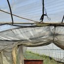 배성농장 이미지