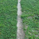 타로로 배우는 자기 이해와 성장 이미지