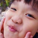 수양 이미지