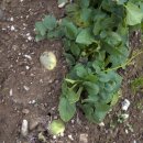 횡계카센타 이미지