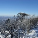 해오름 산악회 제 49차 1월 8일 태백산 산행안내 이미지