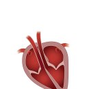 토비동물병원 이미지