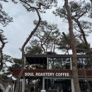 계리입구 소나무 숲 | 춘천 베이커리카페 소나무숲이 멋있는 소양강 대형카페 소울로스터리커피
