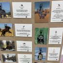 아모르 기타교실(강좌번호:8) | [참여추천] 2025 온동네 교육기부 박람회 후기 / 100여가지 질 좋은 체험활동이 무료 / 1년에 딱 한번...