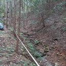 숲속애(愛)펜션 이미지