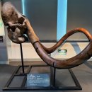 지질박물관 이미지