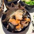 여기고씨네 | 조천/함덕 맛집- 고등어회&갈치회&딱새우회 한번에 먹을 수 있는 고갈딱세트 ‘여기, 고씨네’ 방문 후기