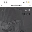 순수어린이집 이미지