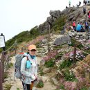 신부화원