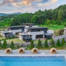 라비드 포레 이미지