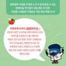 과일연구소 이미지