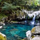 프리한걸 | <D750>쉬리의언덕, 믿거나말거나 박물관, 원앙폭포 :: 나홀로 제주여행 3일차 - 2