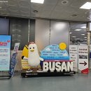 호텔23℃ | 부산 여행 코스 서면 로컬 맛집 스시 롯데호텔 부산 모모야마