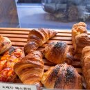 브레드창 이미지