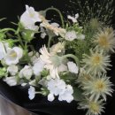 01-28 동구 | 안녕하see-saw 반갑습니day