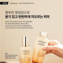 향장화장품