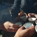 대파니 힐링팜 이미지