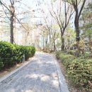 시티리더스공인중개사사무소 이미지