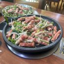 청룡성인PC 이미지