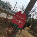 송암리 농장 | 태안) 태안 한마음딸기 농장으로 딸기 체험 다녀오다