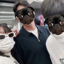 카프리애월민박 이미지