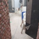 면목동-010 이미지