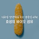 효성바이오 이미지