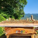 무릉도원면-34 이미지