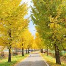 쌍이리귀바위 이미지