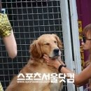 다솜피부사랑