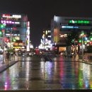 라 비 채 이미지