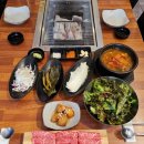 육박사 이미지