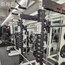 드래곤짐 이미지