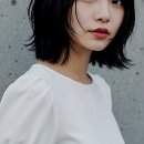 엘리제 | 머리 변신 성공! 나만의 스타일 찾기, 세종미용실 엘리제헤어 본점 후기요