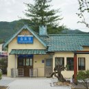 유정이야기숲 네이버블로그