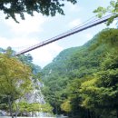 [한국의 숲, 한국의 명산](14) 전북 순창·전남 담양 경계 ‘강천산’ 이미지