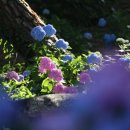 내촌마을 이미지