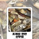 (주)석화 | [ 천안 신부동 ] 천안터미널 근처 석화찜 조개찜 맛집 조개킹 내돈내산 후기