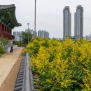 태화루 이미지