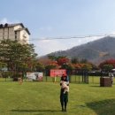 엘페로2 이미지