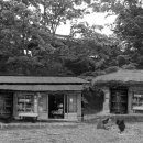 음지마을 이미지