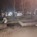 매호근린공원 이미지